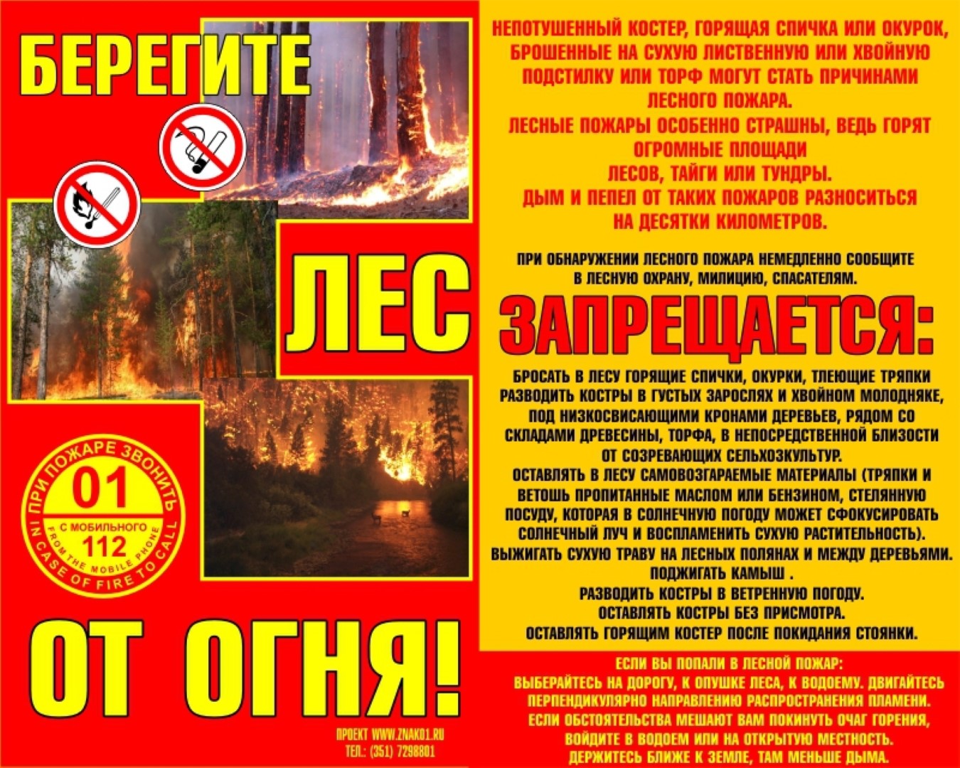 1648944007_55_vsegda_pomnim_com_p_beregite_les_foto_59.jpg